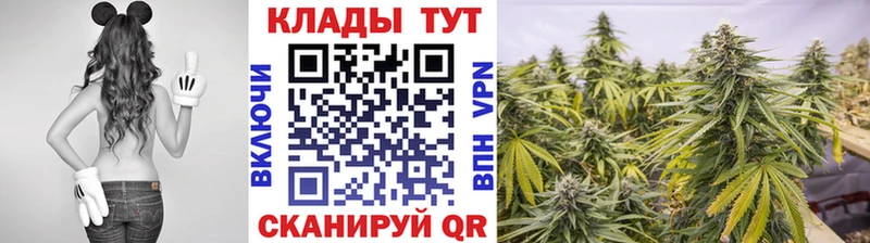 Наркотические вещества Мурино ГАШ  Каннабис  Меф 