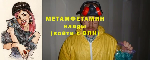 прущие грибы Новокубанск